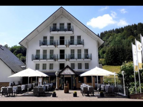  Land-Hotel Haus am Stein Winterberg mit Pool  Винтерберг